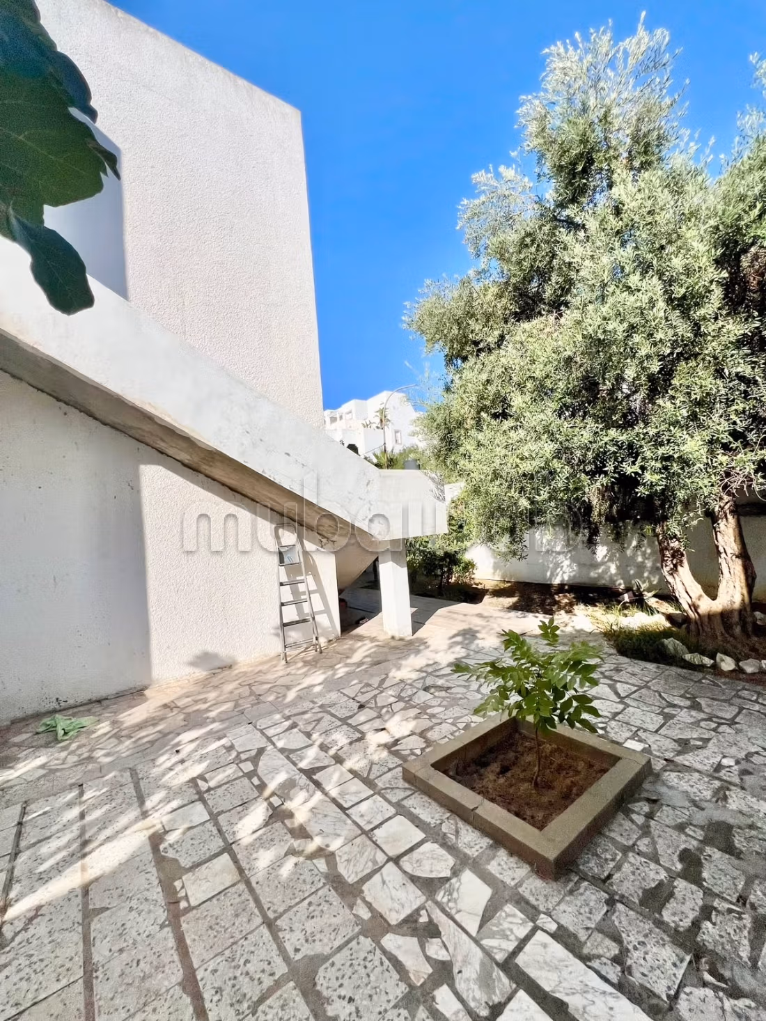 A Vendre Villa d'angle à El Manar 3
