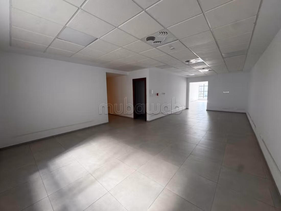 Exclusive Office Offer – Souriyenne