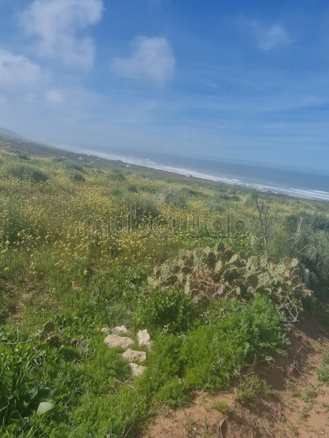 Vente de terrain à Essaouira 
El Jadida. Surface totale 9700 m²