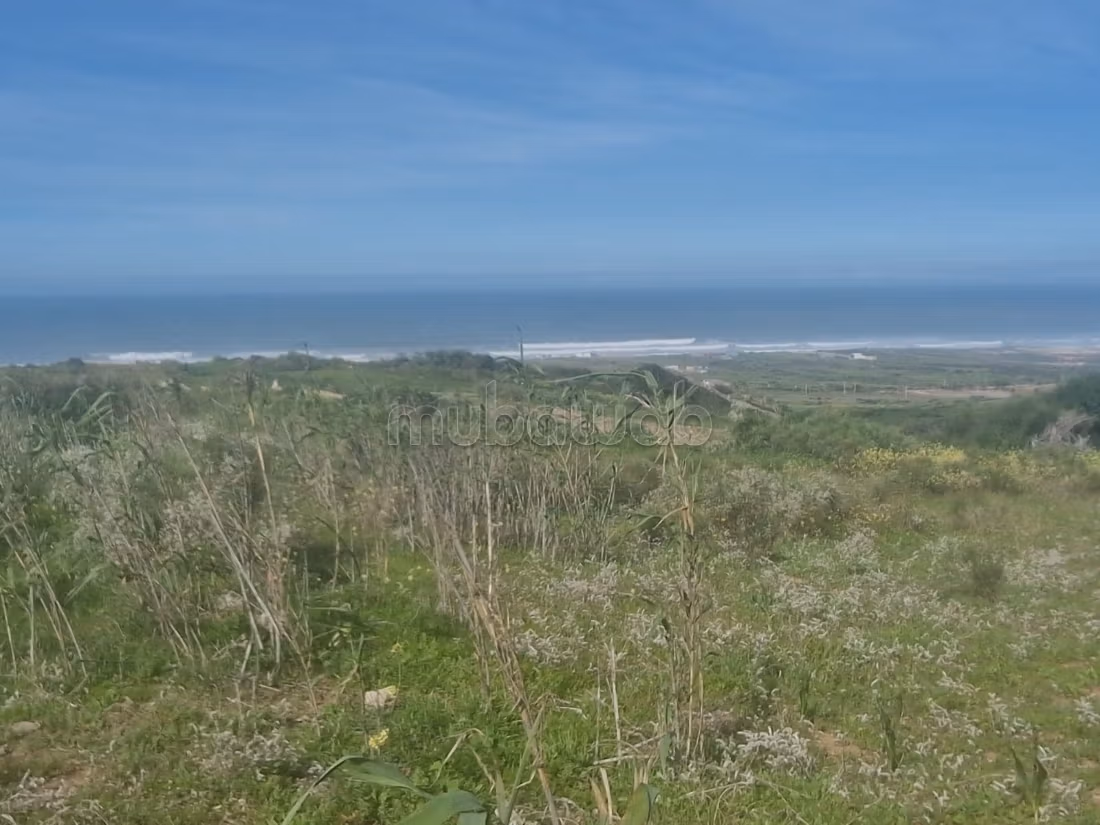 Vente de terrain à Essaouira 
El Jadida. Surface totale 9700 m²