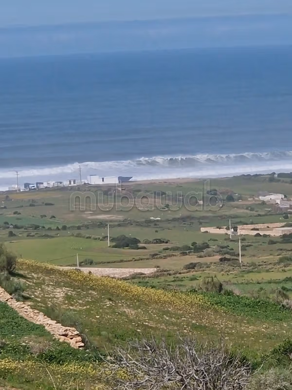 Vente de terrain à Essaouira 
El Jadida. Surface totale 9700 m²