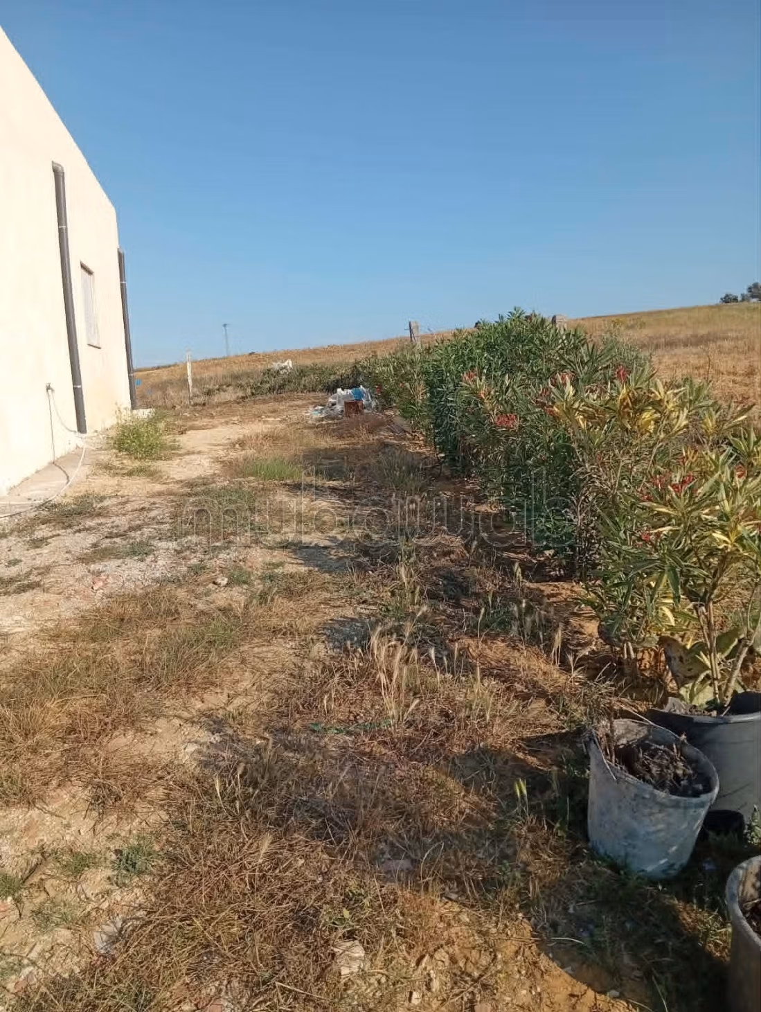 Casa di 4000m² prezzo 250mdt