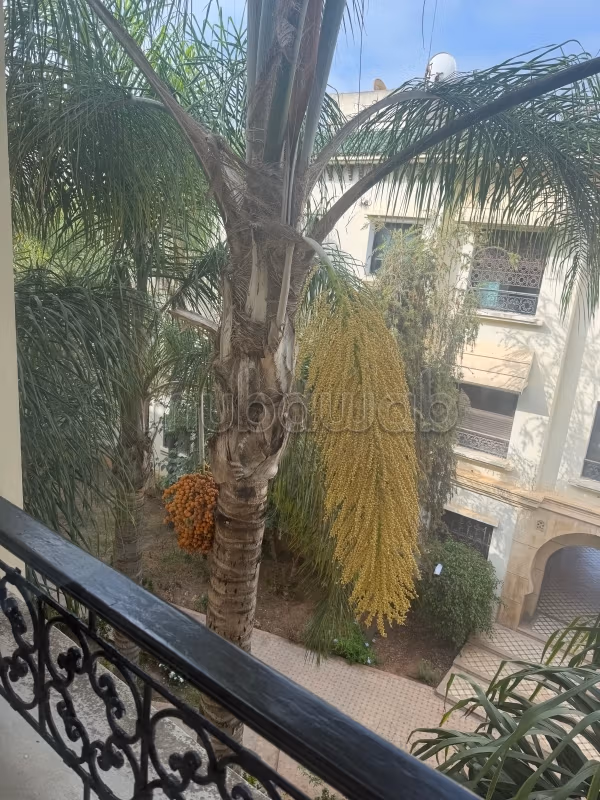 Superbe appartement à louer à Les Orangers. 3 chambres. Cuisinière avec four