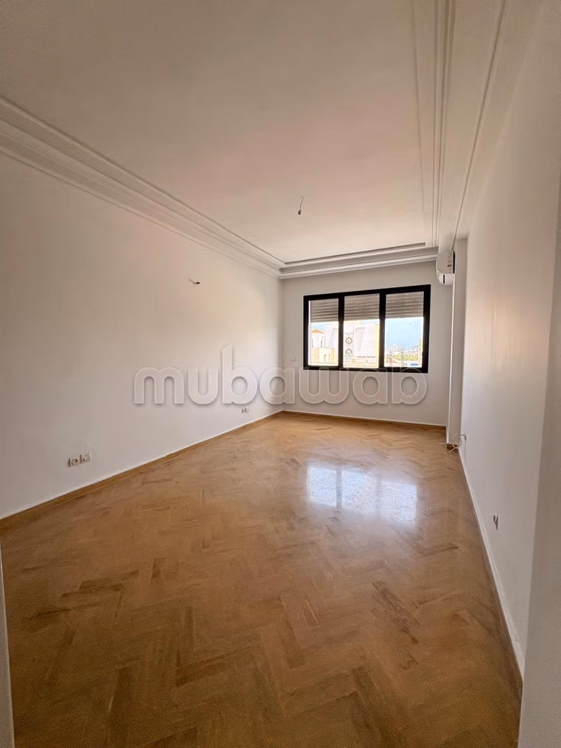 Bel Appartement entièrement Rénové sur Palmiers — 6