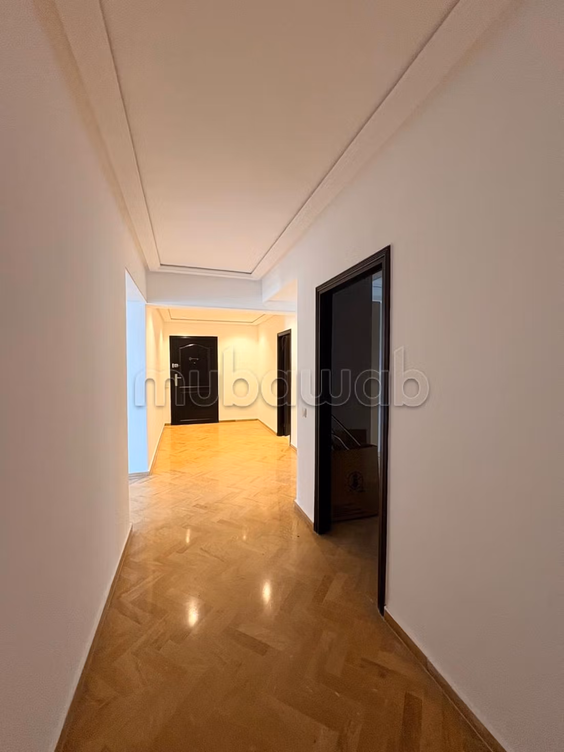 Bel Appartement entièrement Rénové sur Palmiers — 5