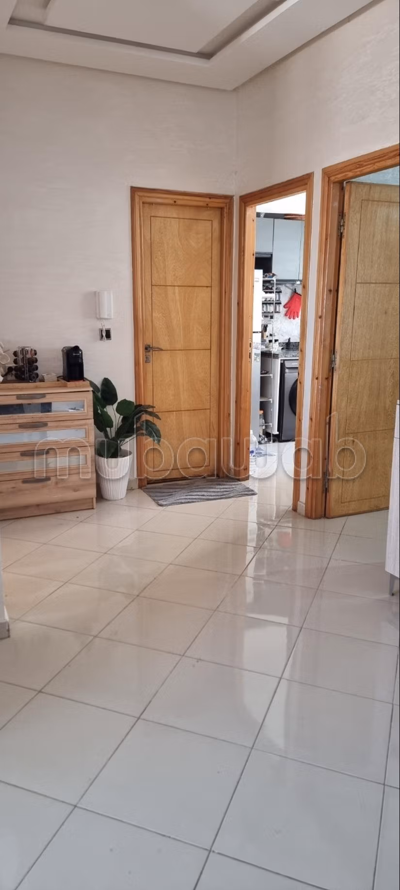 Appartement a vendre