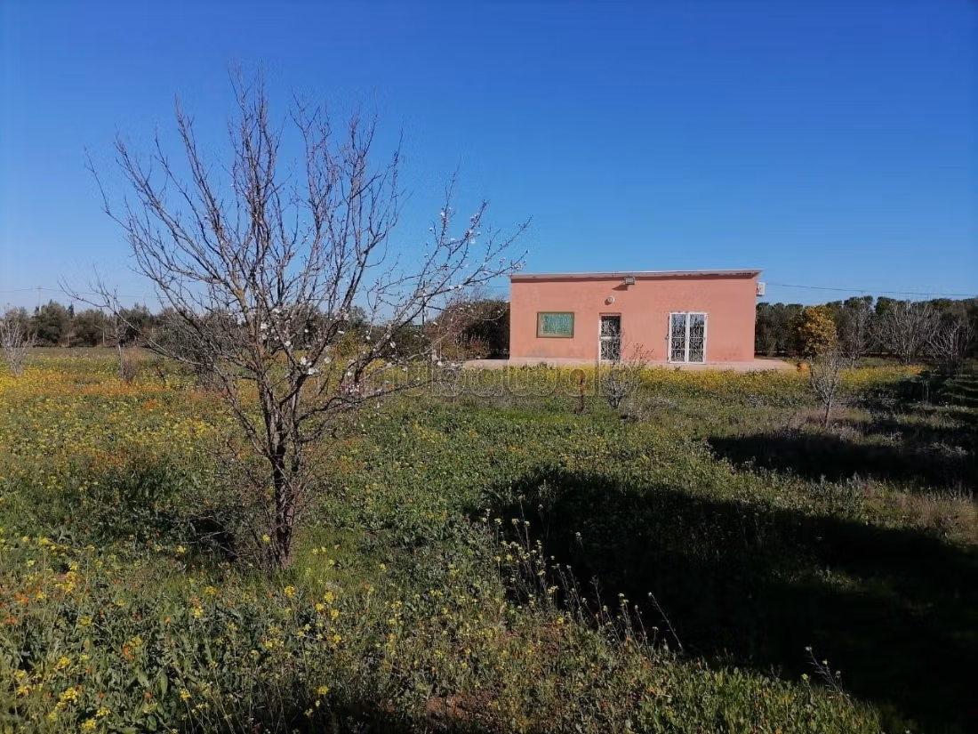 Petite ferme a vendre sur la route nationale