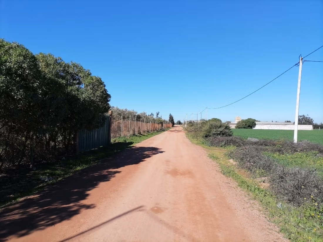 Petite ferme a vendre sur la route nationale