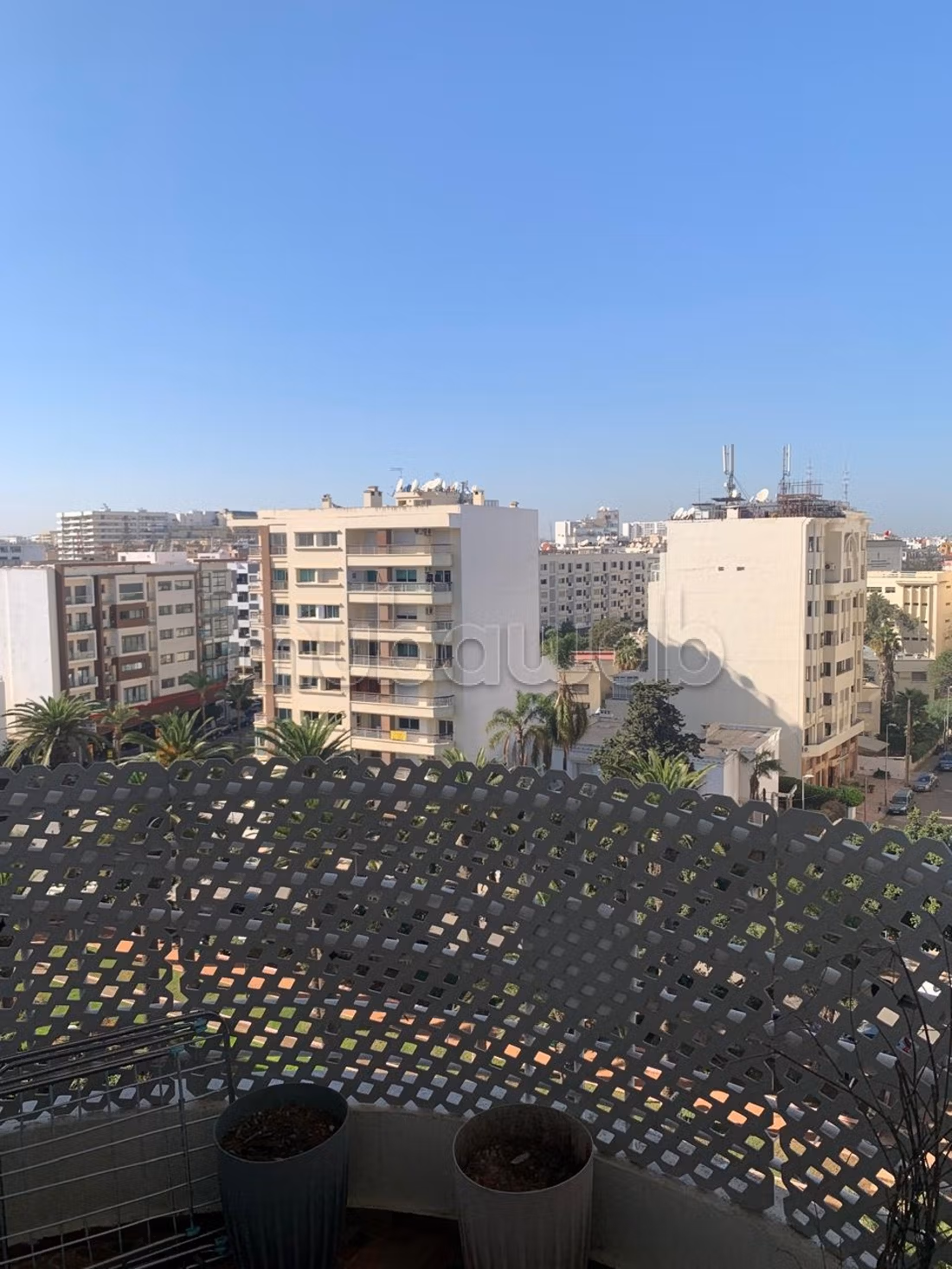 Appartement 190 m² à Palmier — 8