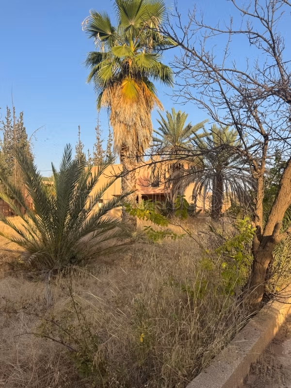 Opportunity to seize Villa, renovated in the heart of the Palmeraie