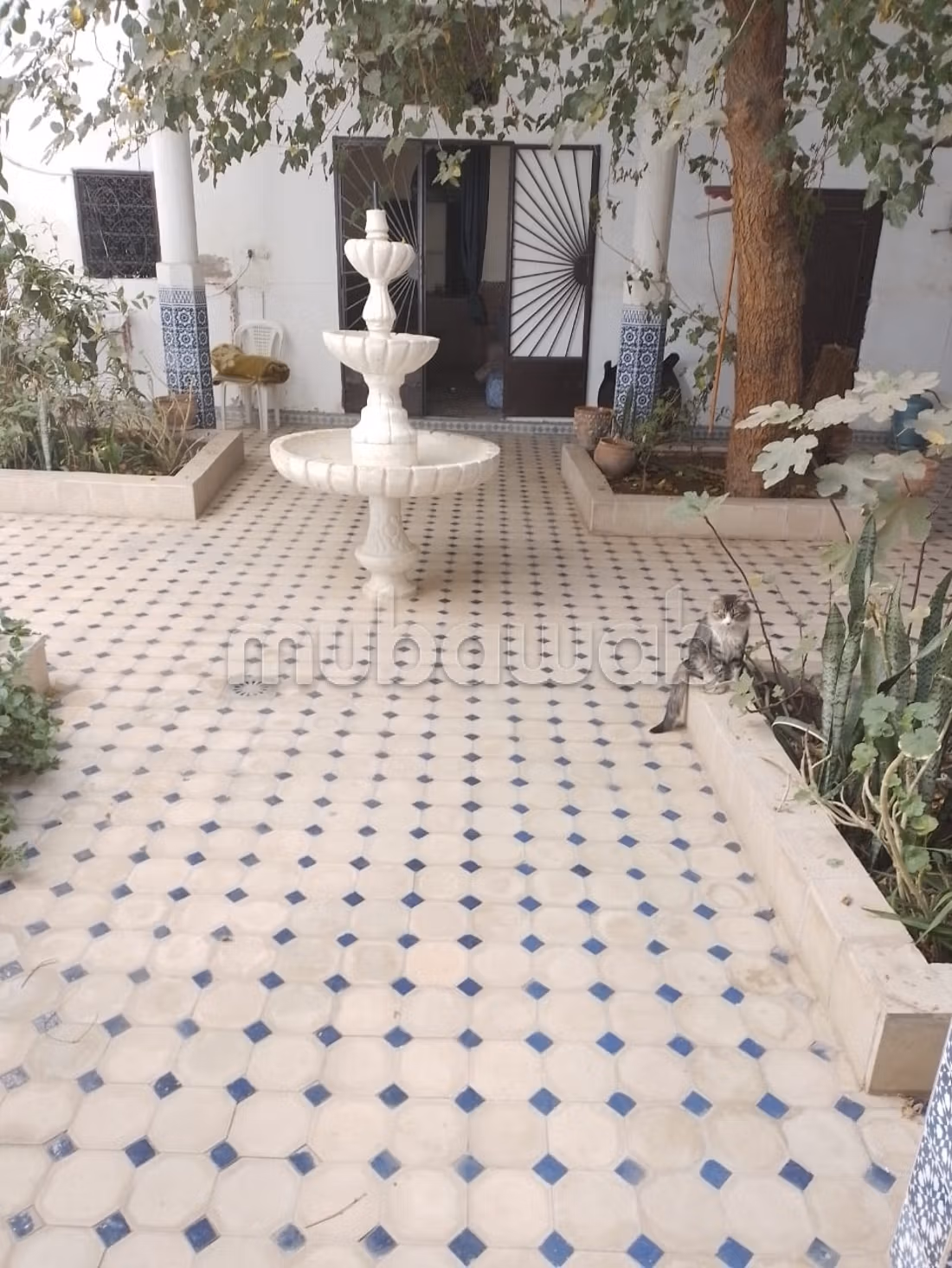 Riad da ristrutturare Bab Doukkala 14 stanze, 288 m²