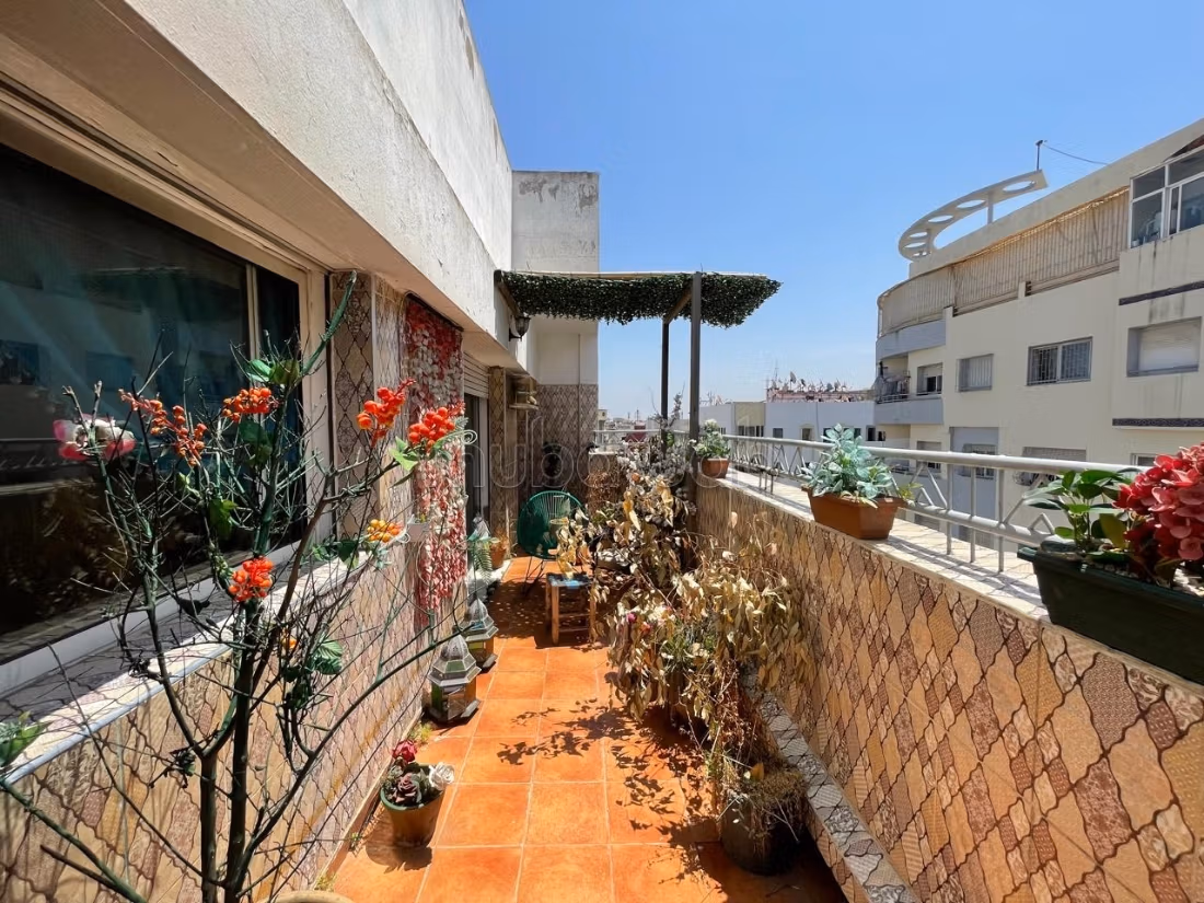 Appartement 114 m² à La Gironde — 14