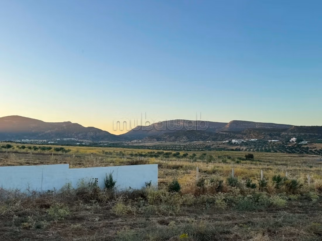 À vendre propriété agricole de 1 ha à Hammamet