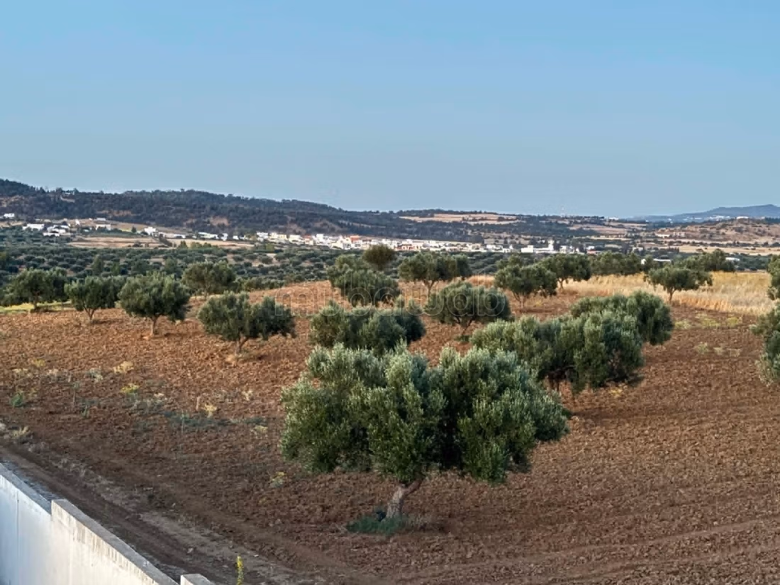 À vendre propriété agricole de 1 ha à Hammamet
