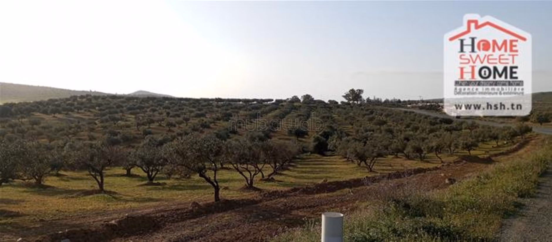 Terreno agricolo Plania in vendita a Mjez El Beb