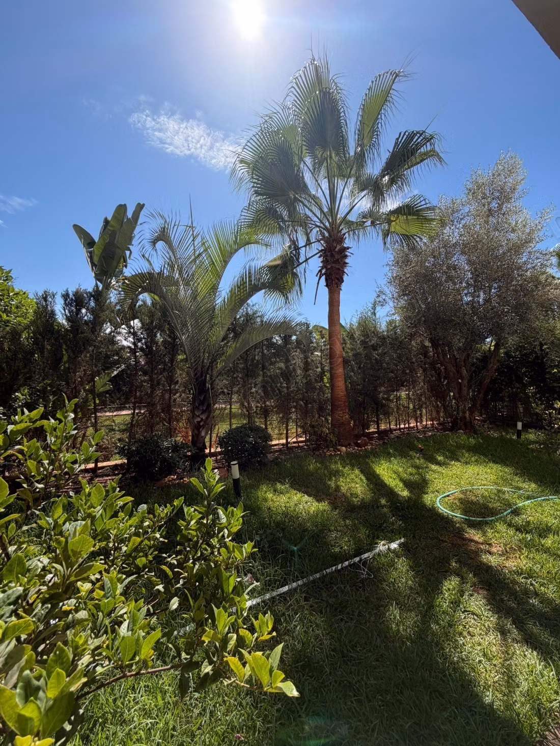 Premium tuin appartement te huur in Dar Bouazza
