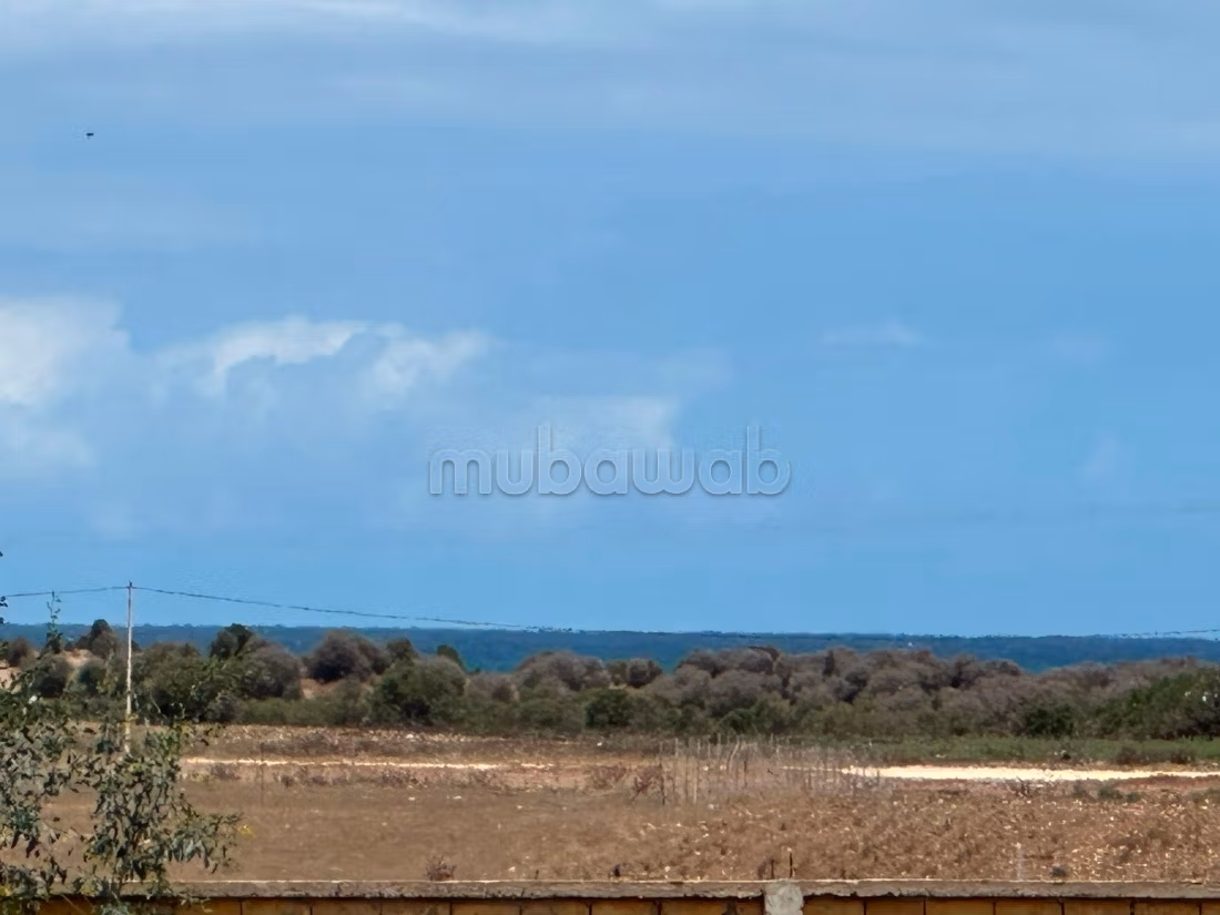 Terrain en vente à Bir Jdid. 
Surface totale 2500 m²