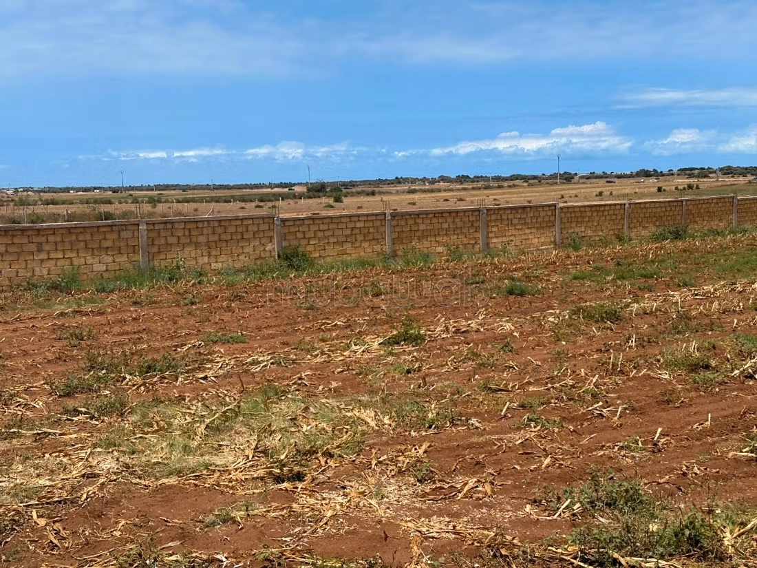 Terrain en vente à Bir Jdid. 
Surface totale 2500 m²