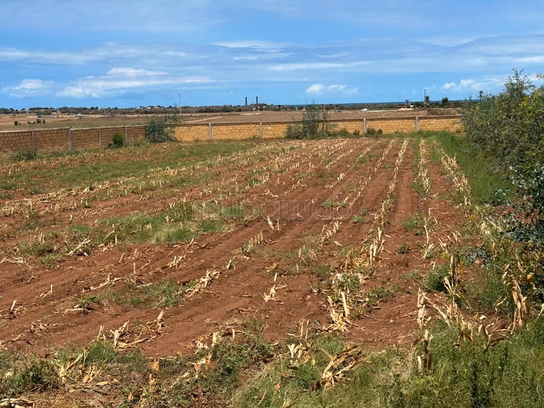 Terrain en vente à Bir Jdid. 
Surface totale 2500 m²