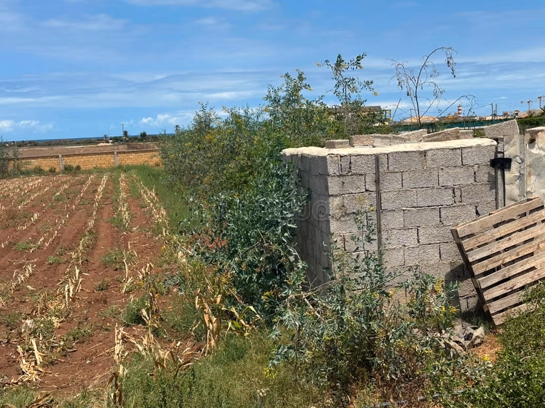Terrain en vente à Bir Jdid. 
Surface totale 2500 m²