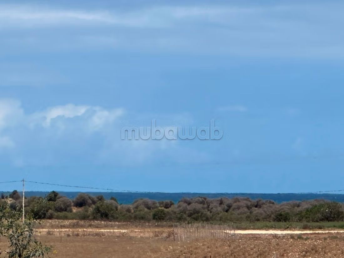 Terrain en vente à Bir Jdid. 
Surface totale 2500 m²