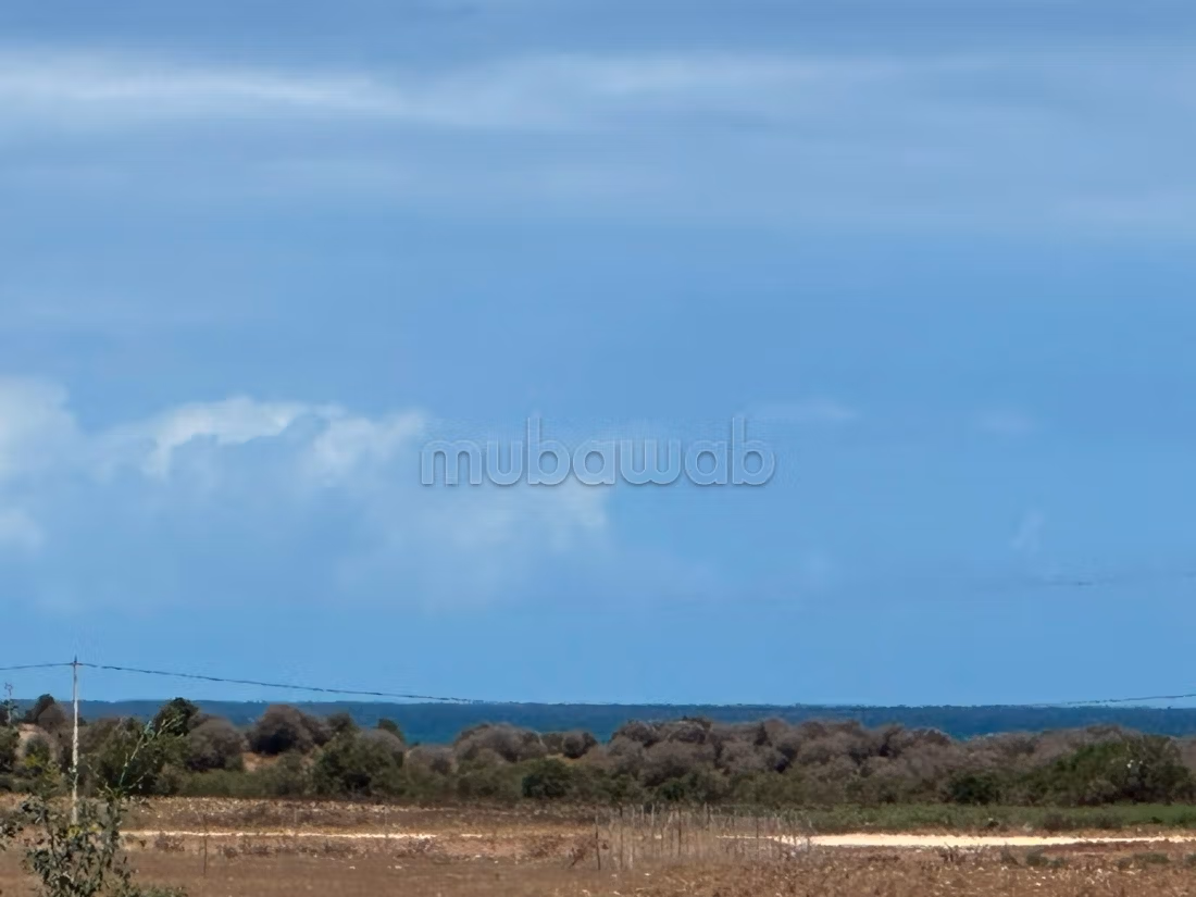 Terrain en vente à Bir Jdid. 
Surface totale 2500 m²