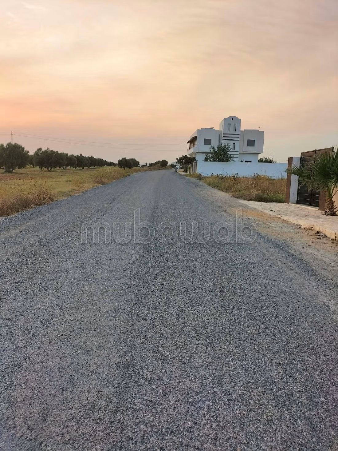In Vendita - Terreno a Minchar Hammamet Sud