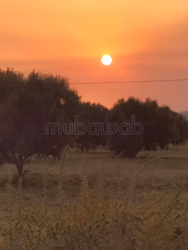 À Saisir Terrain à Minchar Hammamet Sud