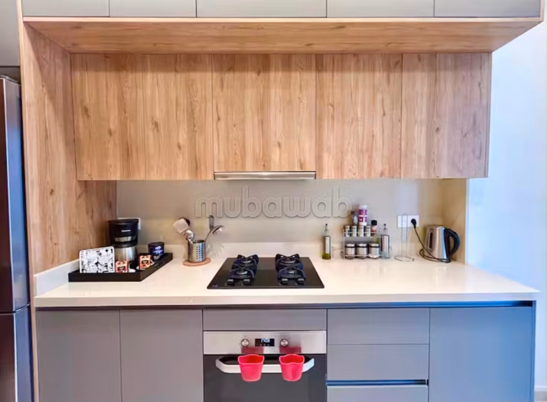 Magnificent Apartment with a spacious terrace for rent