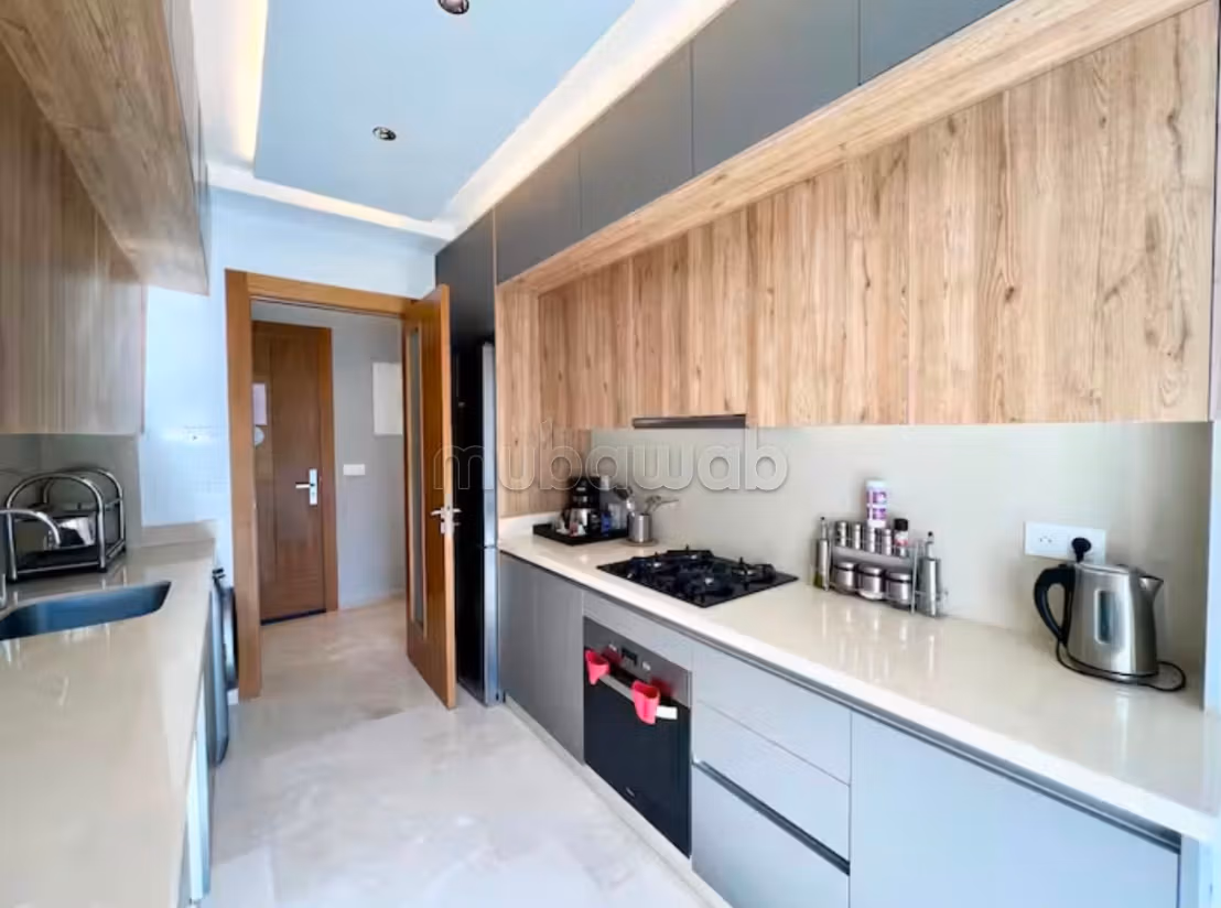 Magnificent Apartment with a spacious terrace for rent