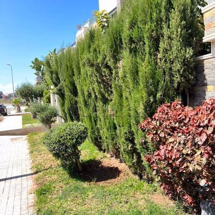 Villa en Venta de 314.0 m² en Dar Bouazza, Tamaris1