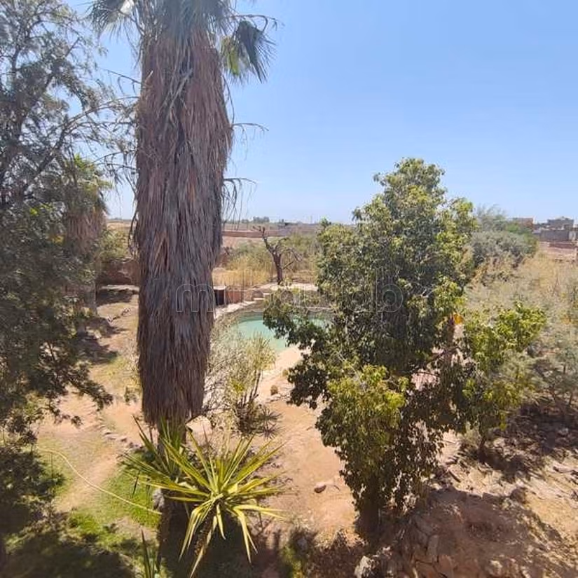 Villa in Affitto di 3500.0 m² a Marrakech, Route De Fes Oulad Jelal