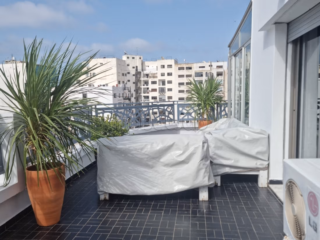 Studio à louer à gauthier
grande terrasse