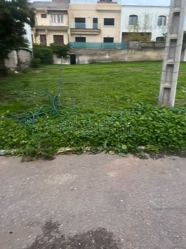 Achat de terrain à Dar Bouazza. Superficie 351 m²