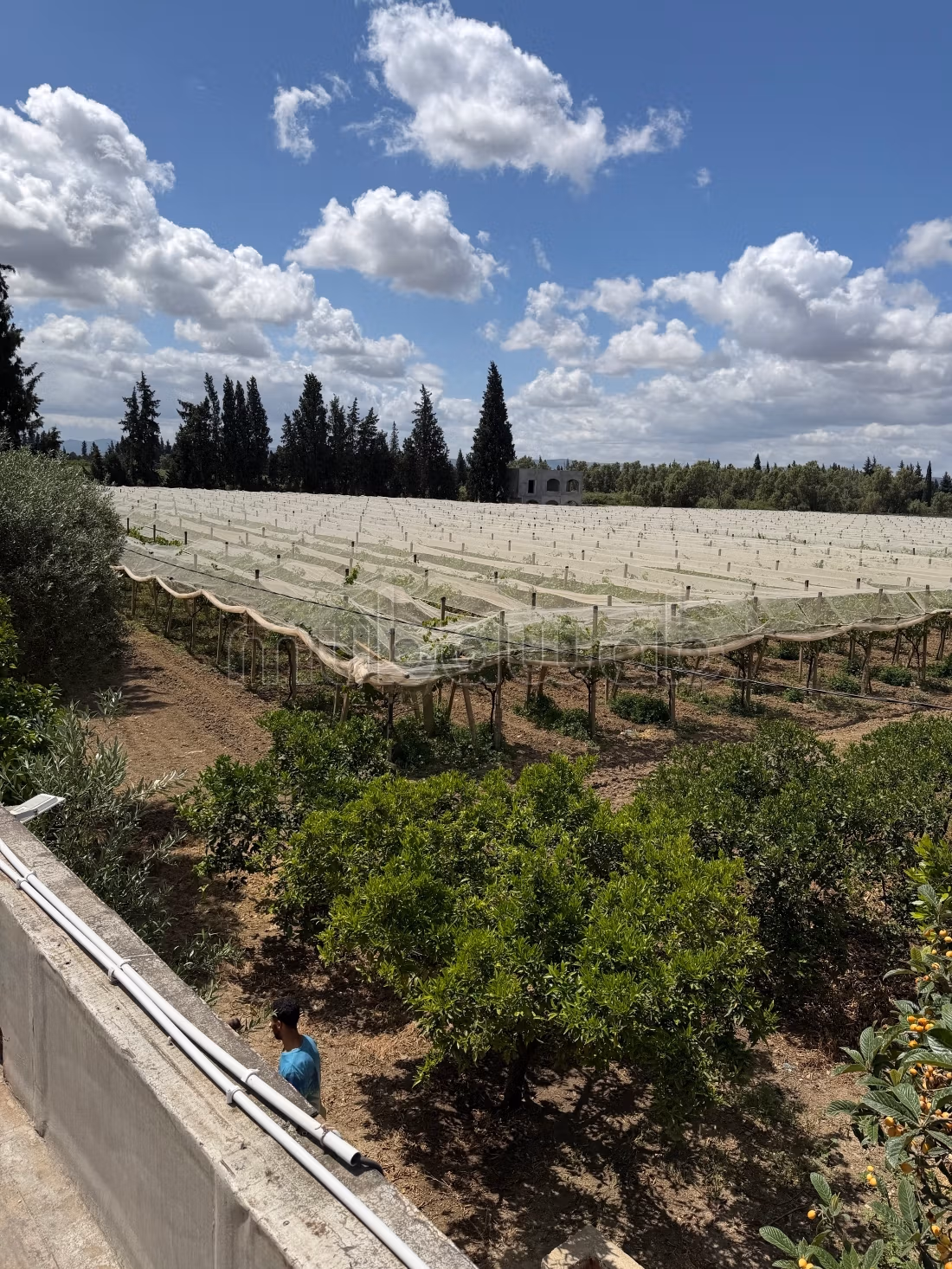 Casa Tradizionale con Bellissimo Giardino a Mornag. 2 camere. Posti auto e bellissimo giardino