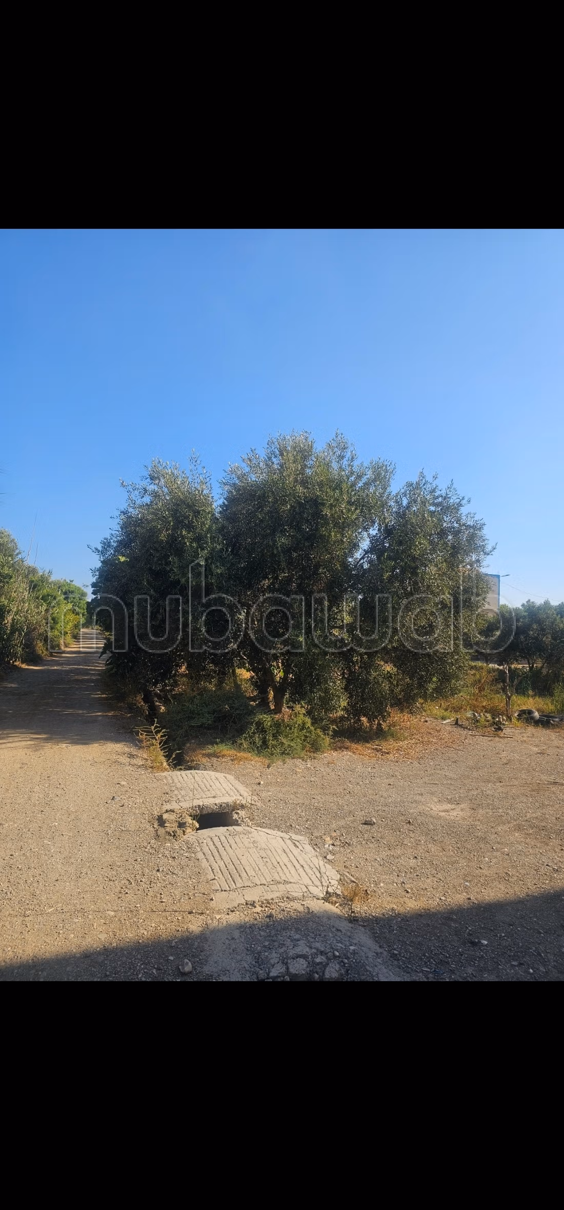 Terrain a vendre a ait youssef ou ali souani al h