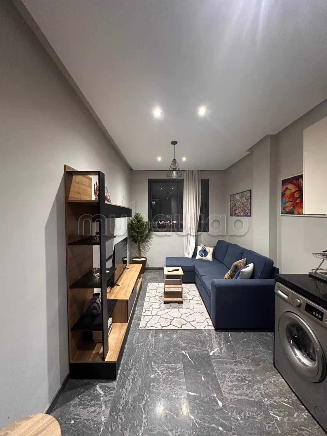 Opportunity Studio Sublet