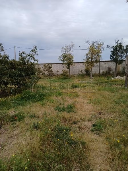 Bellissimo terreno in vendita a Skikina. Superficie totale 206 m²