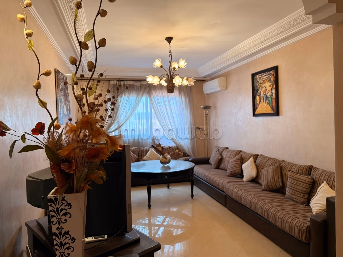 Bel appartement lumineux avec grande terrasse