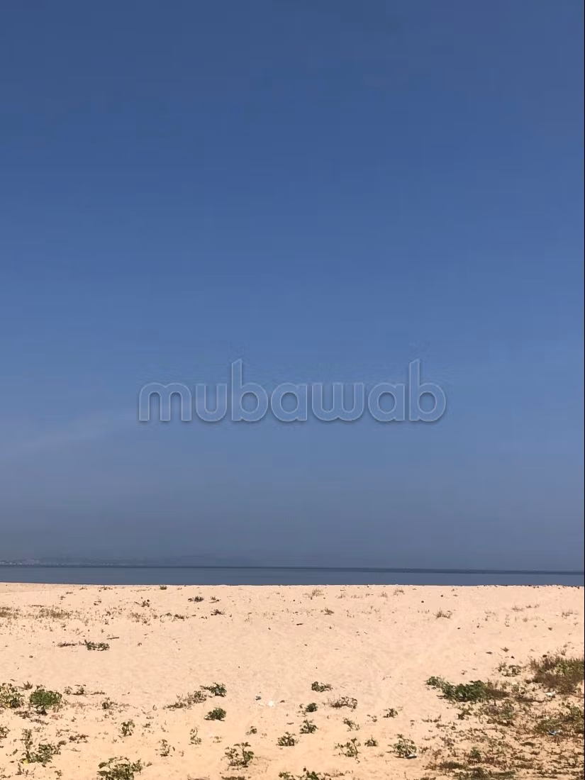 À vendre à Ezzahra – Les 3 derniers lots