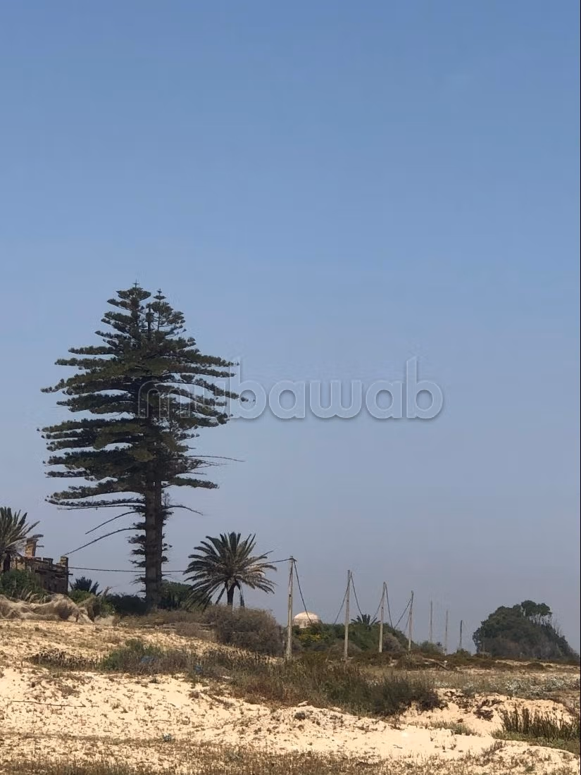 À vendre à Ezzahra – Les 3 derniers lots