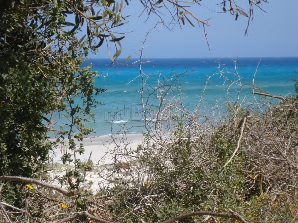 Terrainen bord de mer