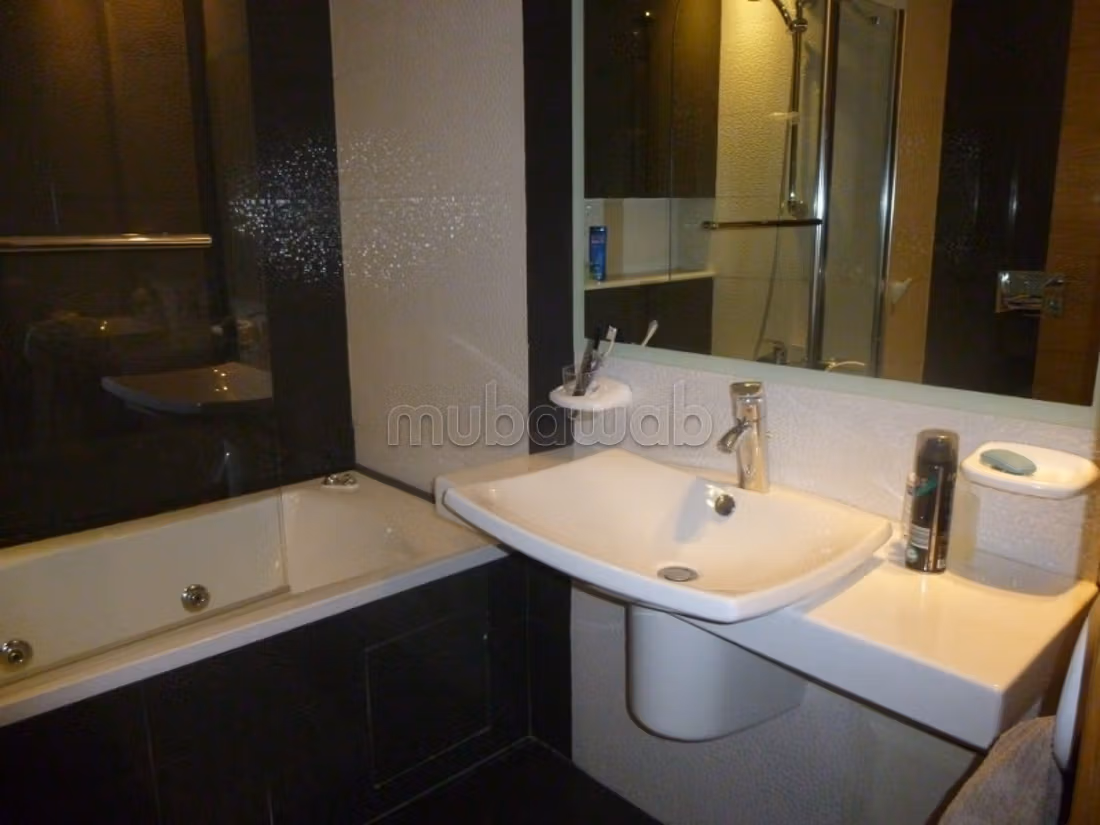 Furnished apartment for rent in PARK