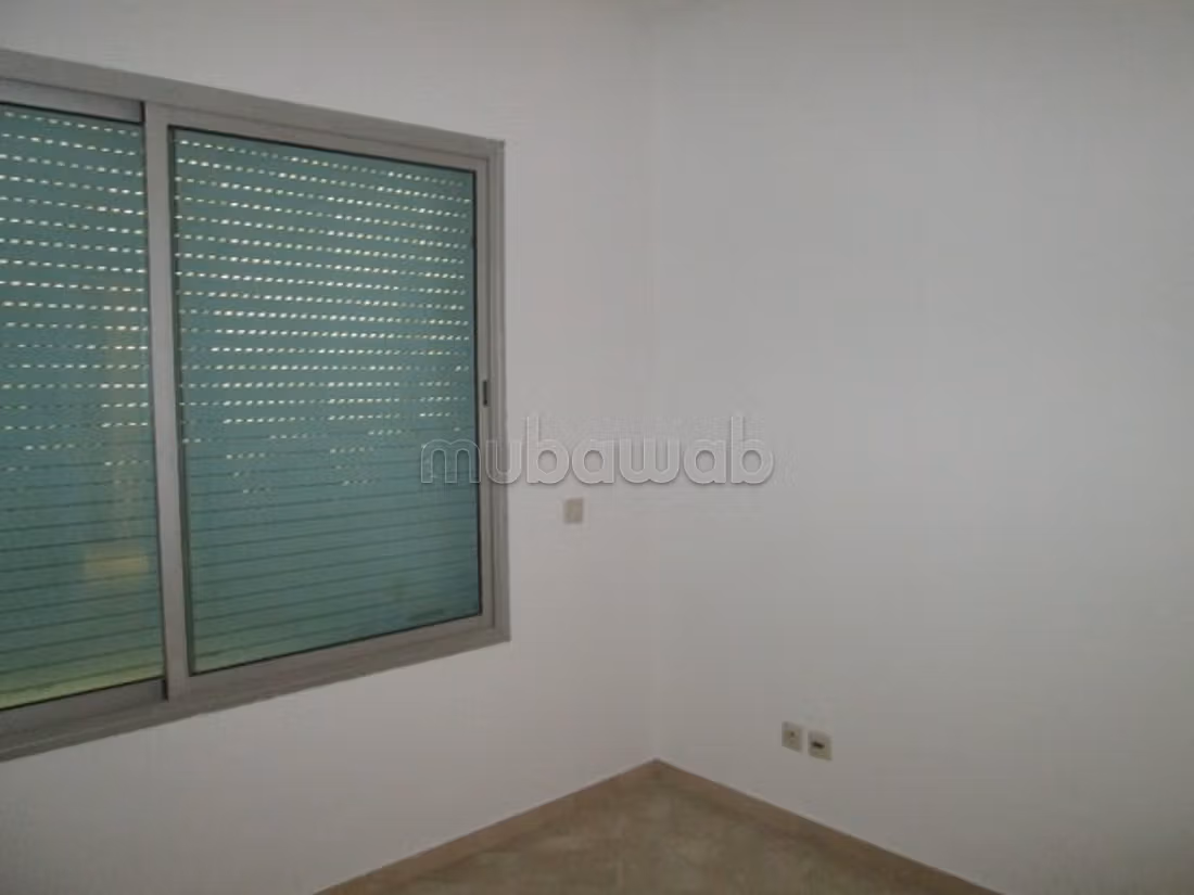 Appartement en location à PALMIER — 2