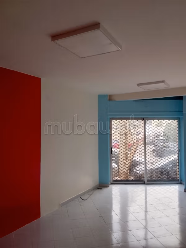 Local aménagé à palmier 30m2