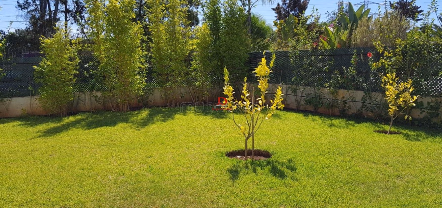 Villa à vendre El Menzeh