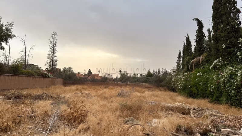 Le terrain d'une villa TARGA de Marrakech
