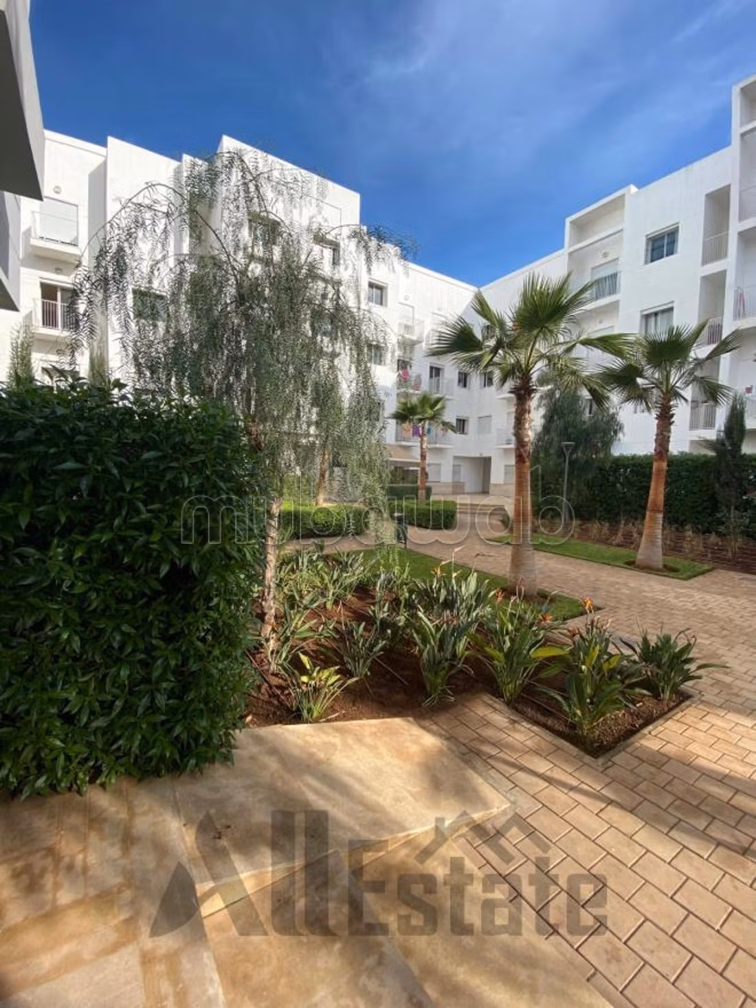 Appartement vide à louer–Résidence ALMAZ AMBAR 1 — 4