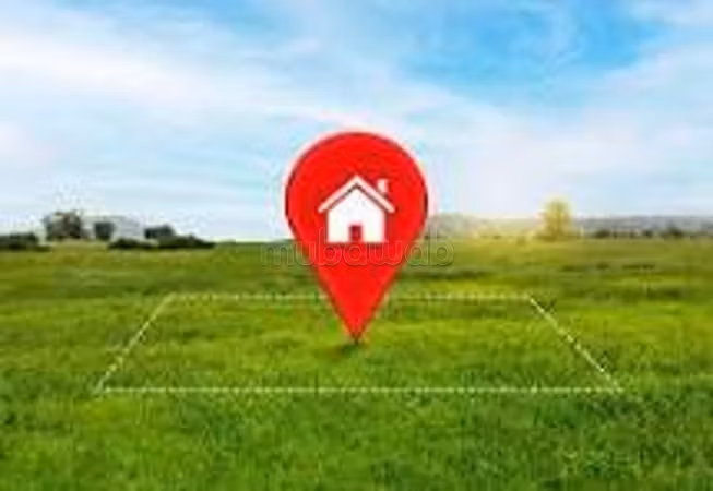 Terrain à vendre pour toute activité sur Longchamp