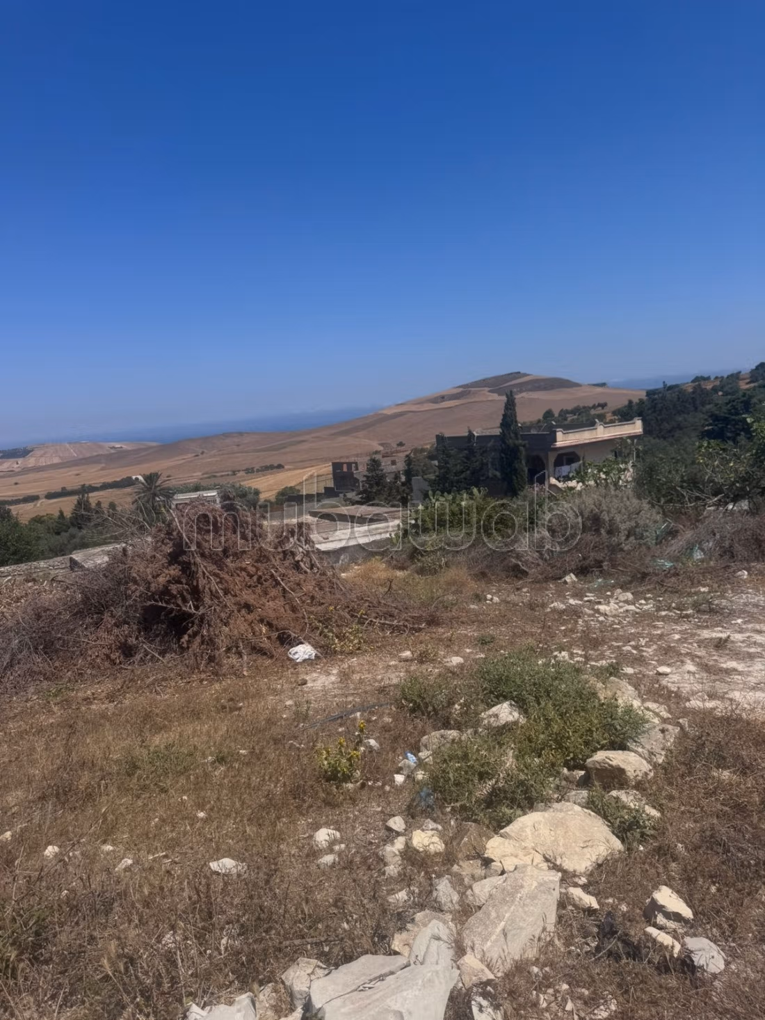 Dar cap engela bizerte